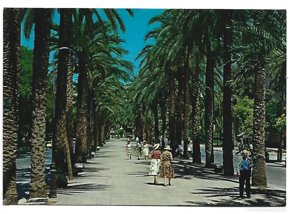 Postales: PASEO DE SAGRERA.- PALMA - MALLORCA - Foto 1