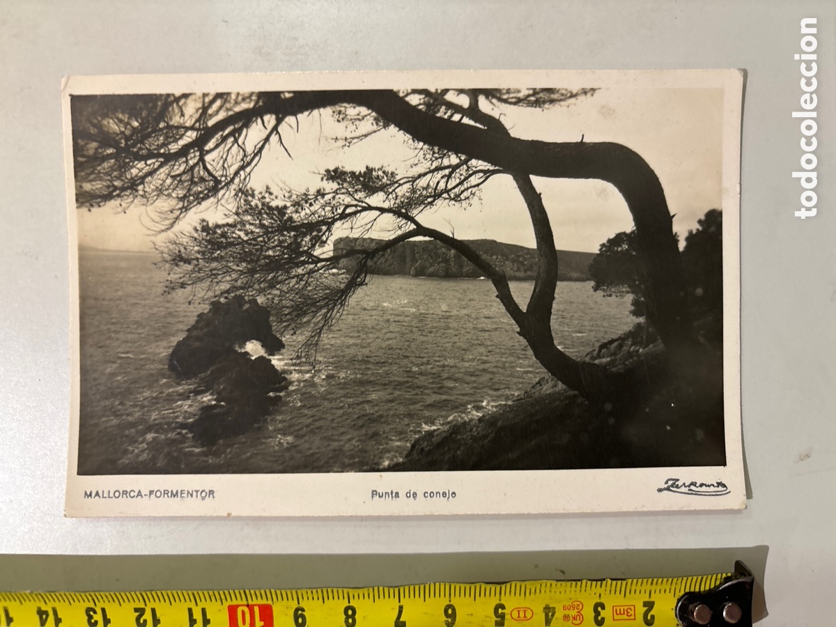 Postales: POSTAL. MALLORCA. FORMENTOR. PUNTA DE CONEJO. A. ZERKOWITZ. - Foto 1