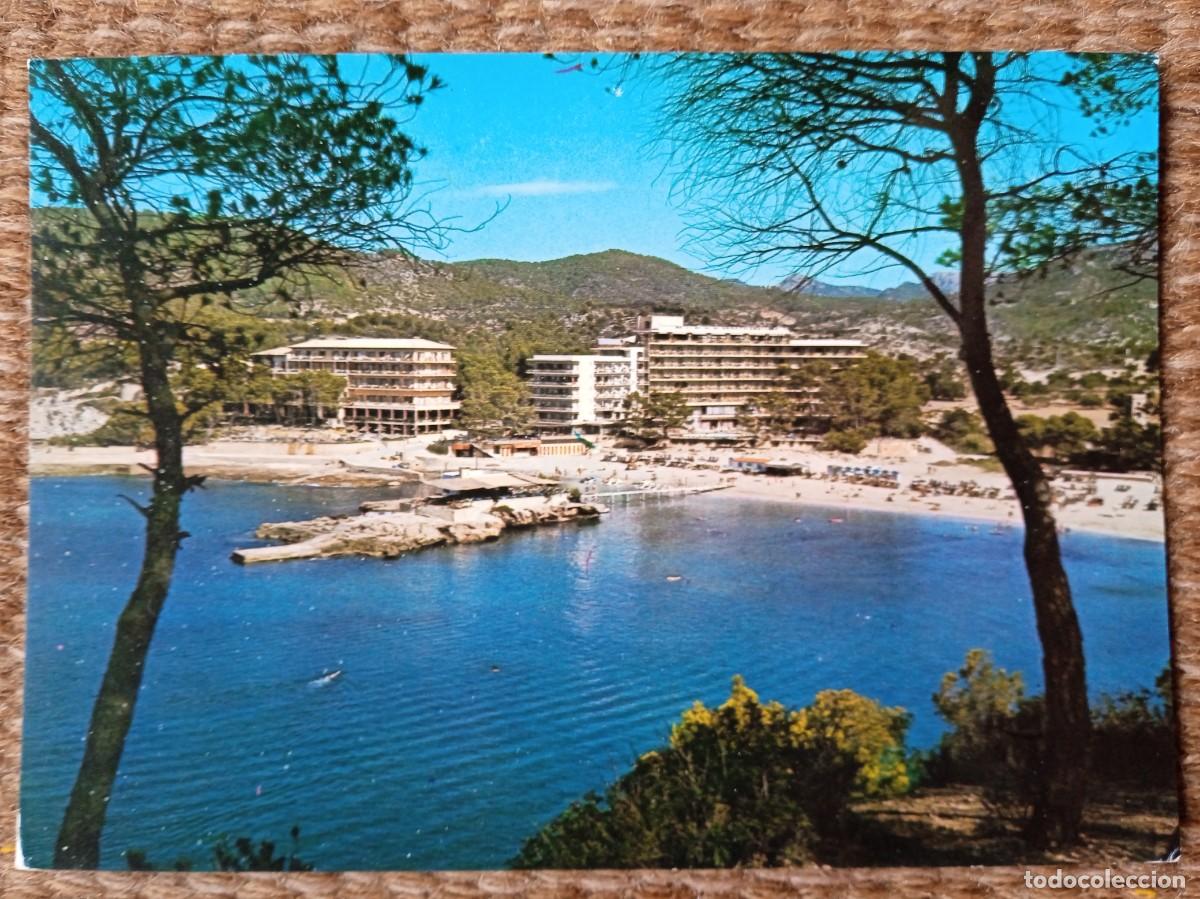 Postales: CAMP DE MAR - MALLORCA - ED. FLOR DE ALMENDRO - Foto 1