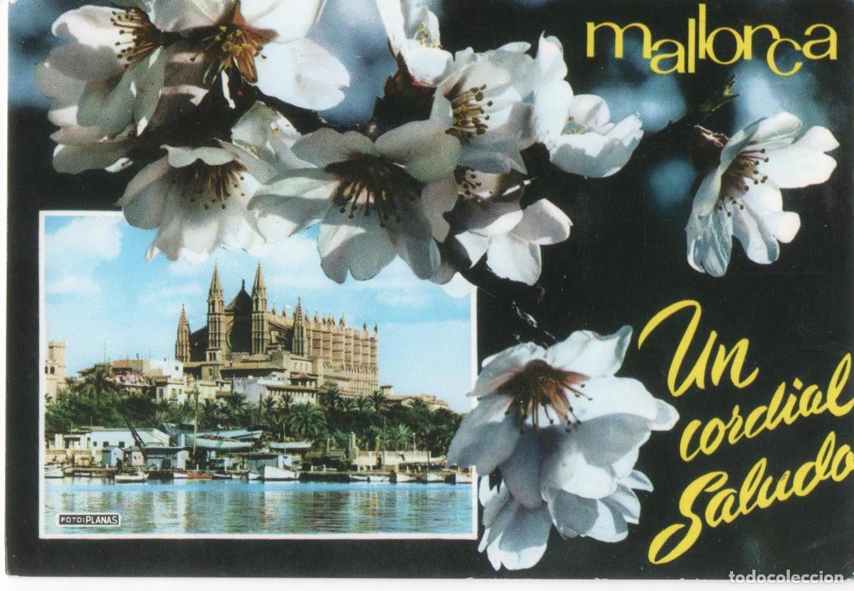 Postales: MALLORCA-CATEDRAL-CIRCULADA- - Foto 1