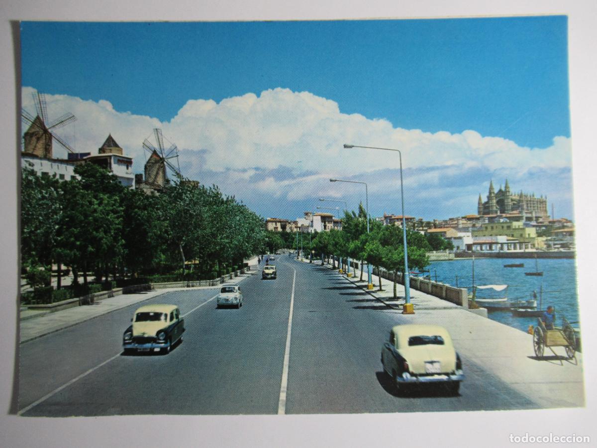 Postales: Mallorca - Paseo mar&iacute;timo y la catedral - Foto 1