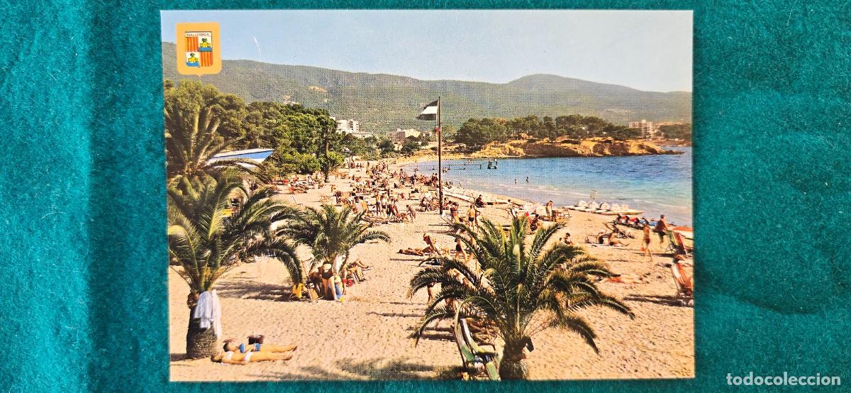 Postales: POSTAL MALLORCA - PALMA NOVA - Foto 1