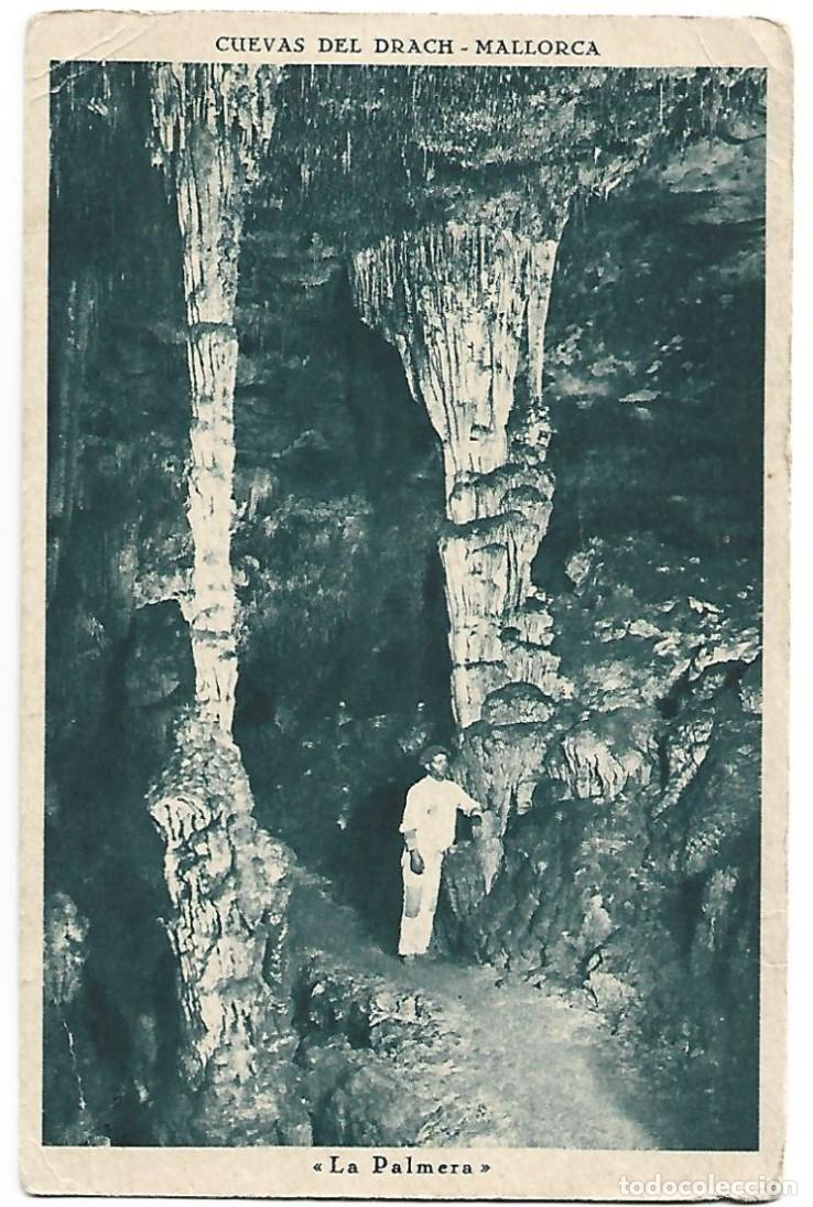 Postales: &rdquo; LA PALMERA &rdquo;.- CUEVAS DEL DRACH.- MALLORCA - Foto 1