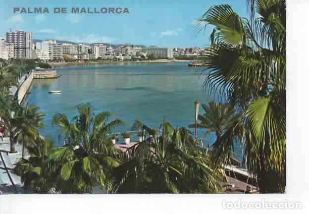 Postales: BALEARES ESCRITA MALLORCA PALMA - Foto 1