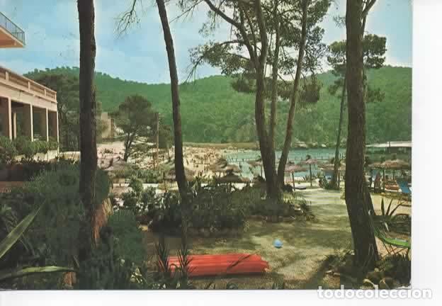 Postales: BALEARES ESCRITA MALLORCA CAMP DE MAR - Foto 1
