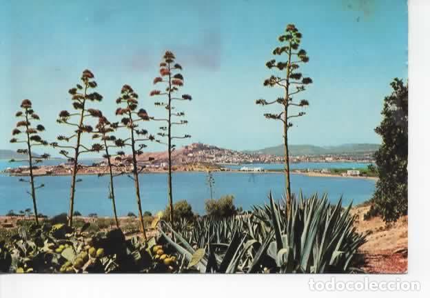 Postales: BALEARES ESCRITA IBIZA - Foto 1