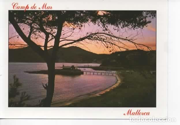 Postales: BALEARES ESCRITA MALLORCA CAMP DE MAR - Foto 1