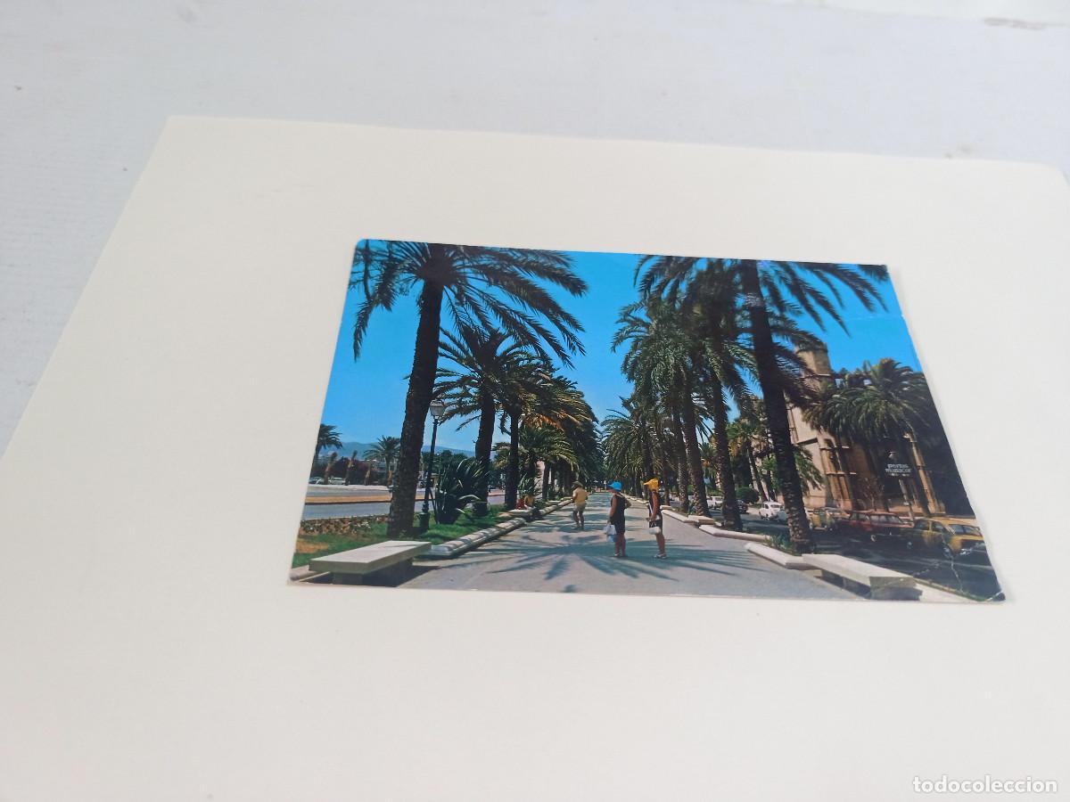 Postales: MALLORCA - POSTAL PALMA - PASEO SAGRERA - Foto 1