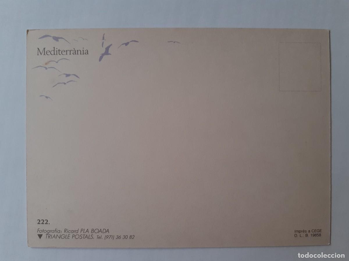 Postales: POSTAL - MENORCA PLA BOADA - S/C - Foto 2