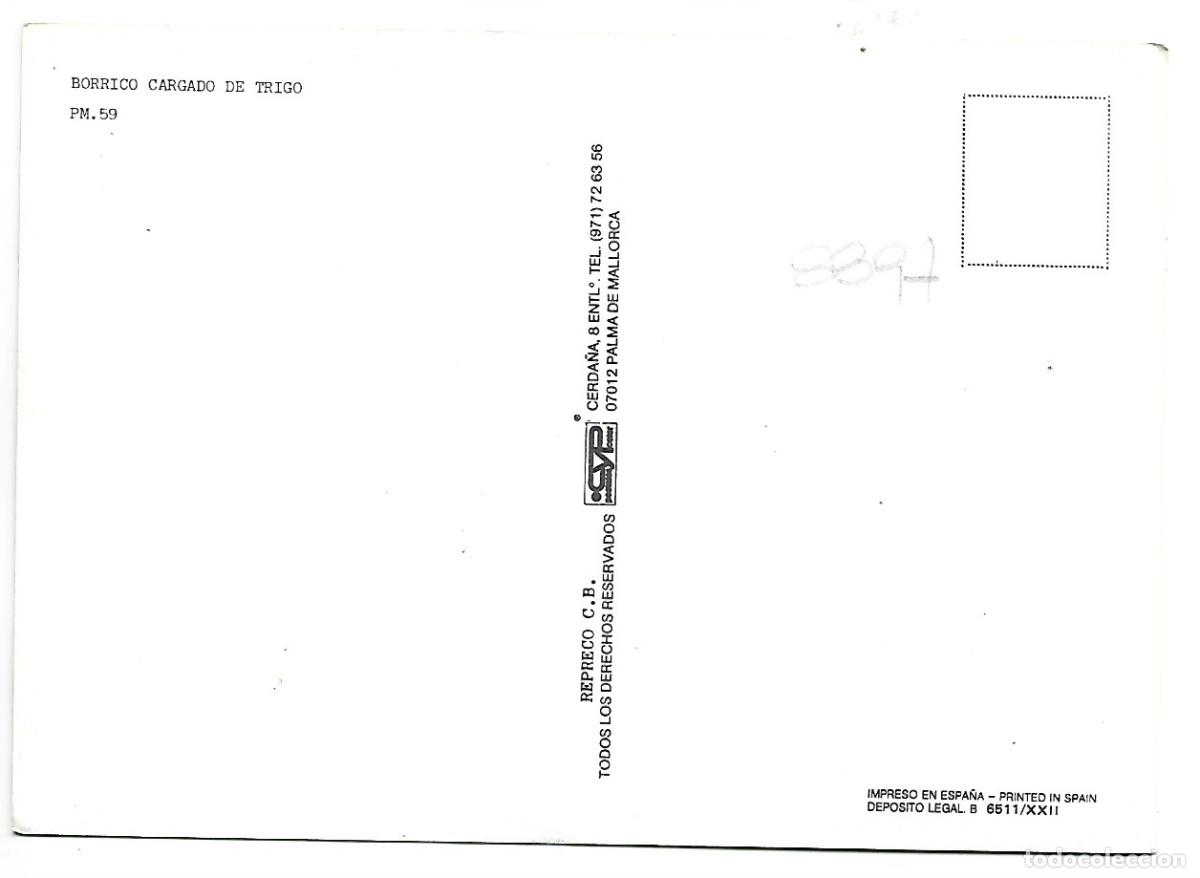 Postales: BORRICO CARGADO CON TRIGO.- MALLORCA - Foto 2