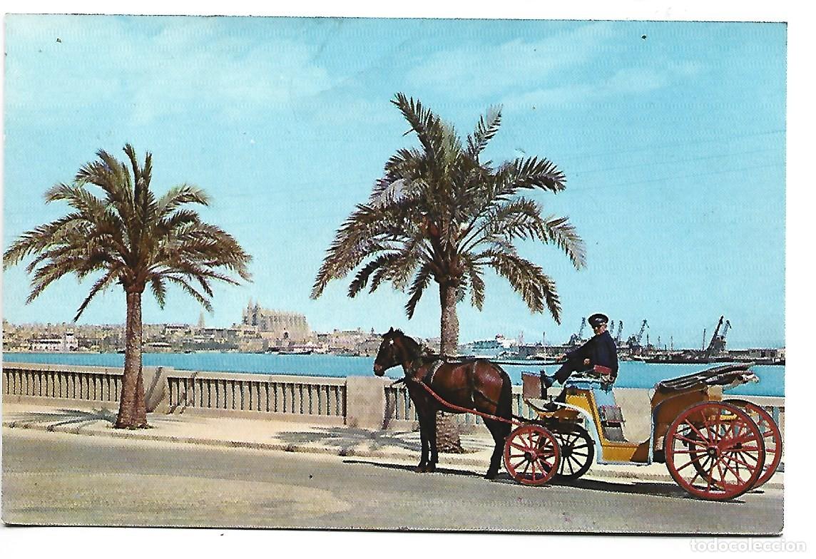 Postales: &rdquo; LA CATEDRAL DESDE EL PASEO MARITIMO &rdquo;.- MALLORCA - Foto 1