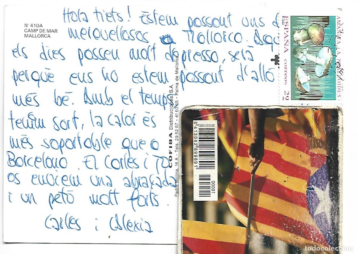 Postales: CAMP DE MAR.- MALLORCA - Foto 2