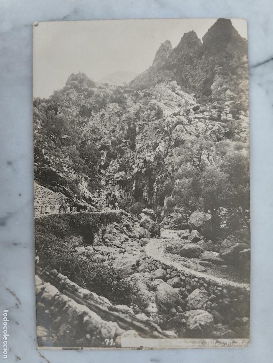 Postales: MALLORCA - SOLLER - POSTAL - Foto 1
