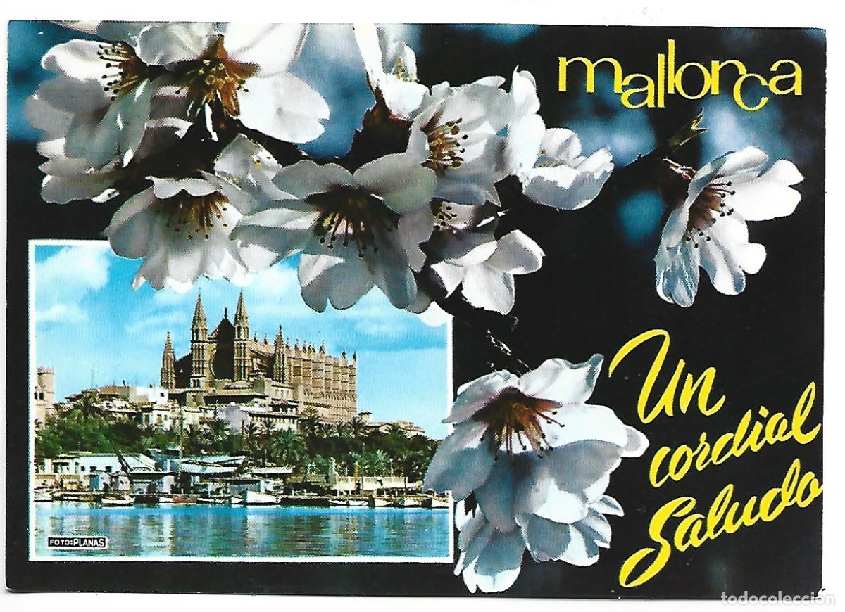Postales: LA CATEDRAL.- PALMA / MALLORCA - Foto 1