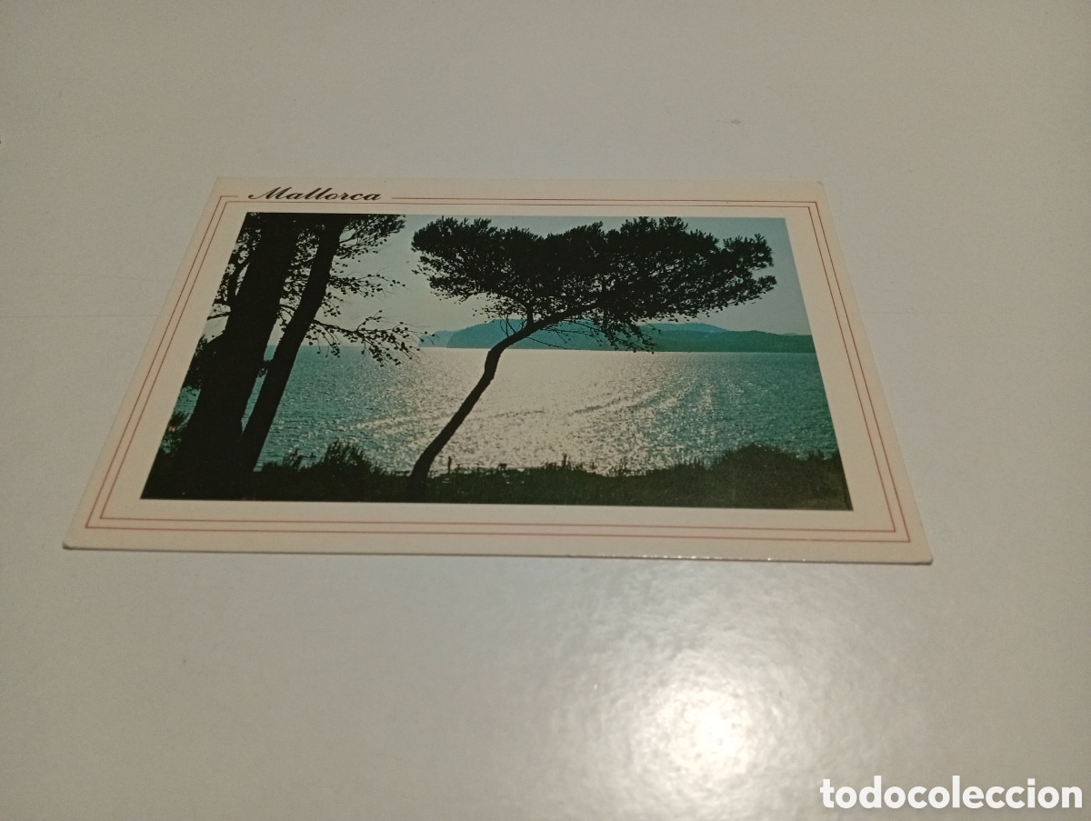 Postales: Postal Mallorca....... - Foto 1