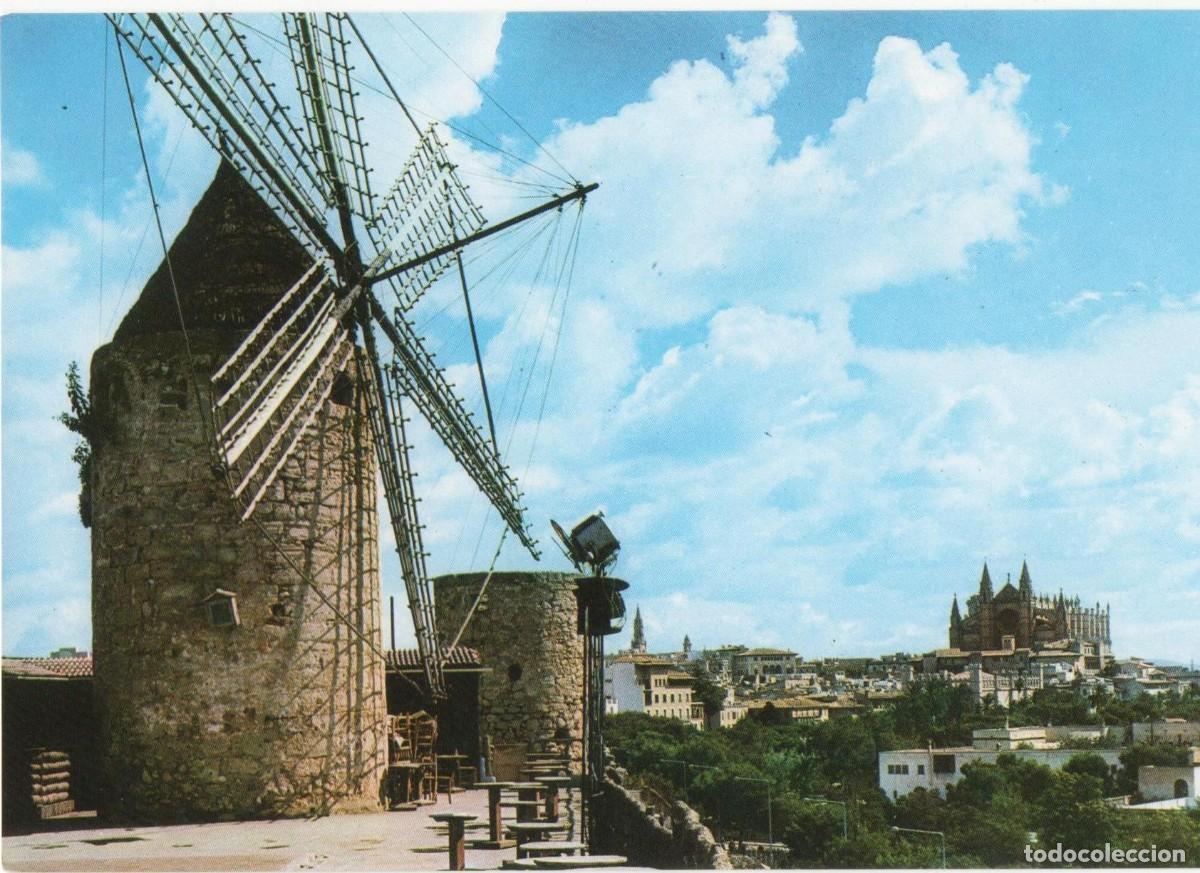Postales: Mallorca--Palma--sin circular - Foto 1