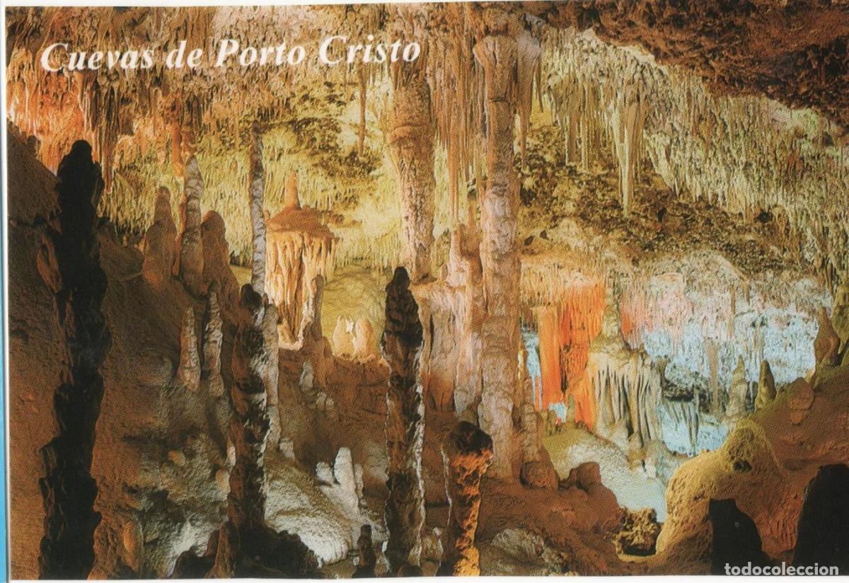 Postales: Mallorca--Palma--sin circular - Foto 1