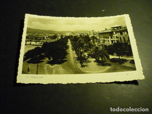 Postales: PALMA DE MALLORCA PASEO SAGRERA - Foto 1