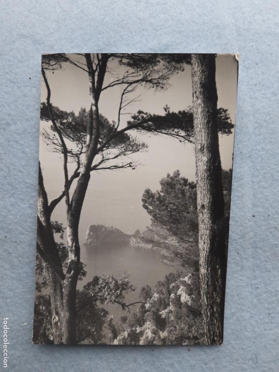 Postales: Palma de Mallorca. Miramar. La Forada. - Foto 1