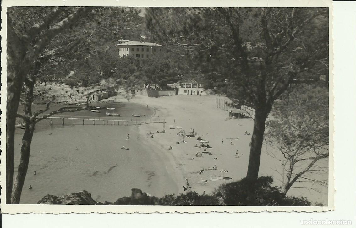 Postales: Mallorca - Andraitx - Hotel Camp de Mar - Foto 1