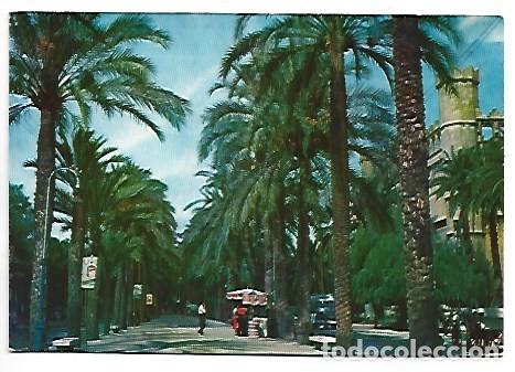 Postales: PASEO SAGRERA.- PALMA DE MALLORCA - Foto 1