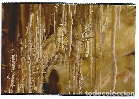 Postales: FORMACIONS REBELS / REBELLIOUS FORMATIONS.- CUEVAS DEL DRACH - MALLORCA - Foto 1
