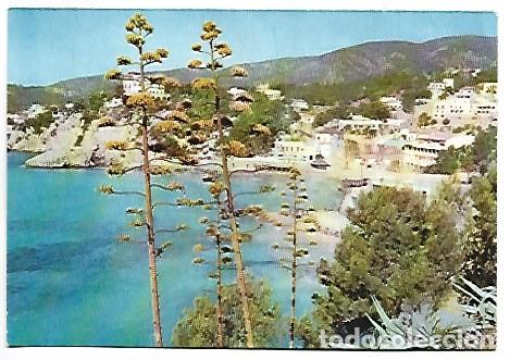Postales: CALA MAYOR.- PALMA / MALLORCA - Foto 1