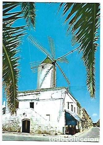 Postales: TIPICO MOLINO / TYPICAL WINDMILL.- CIUDADELA - MENORCA - Foto 1