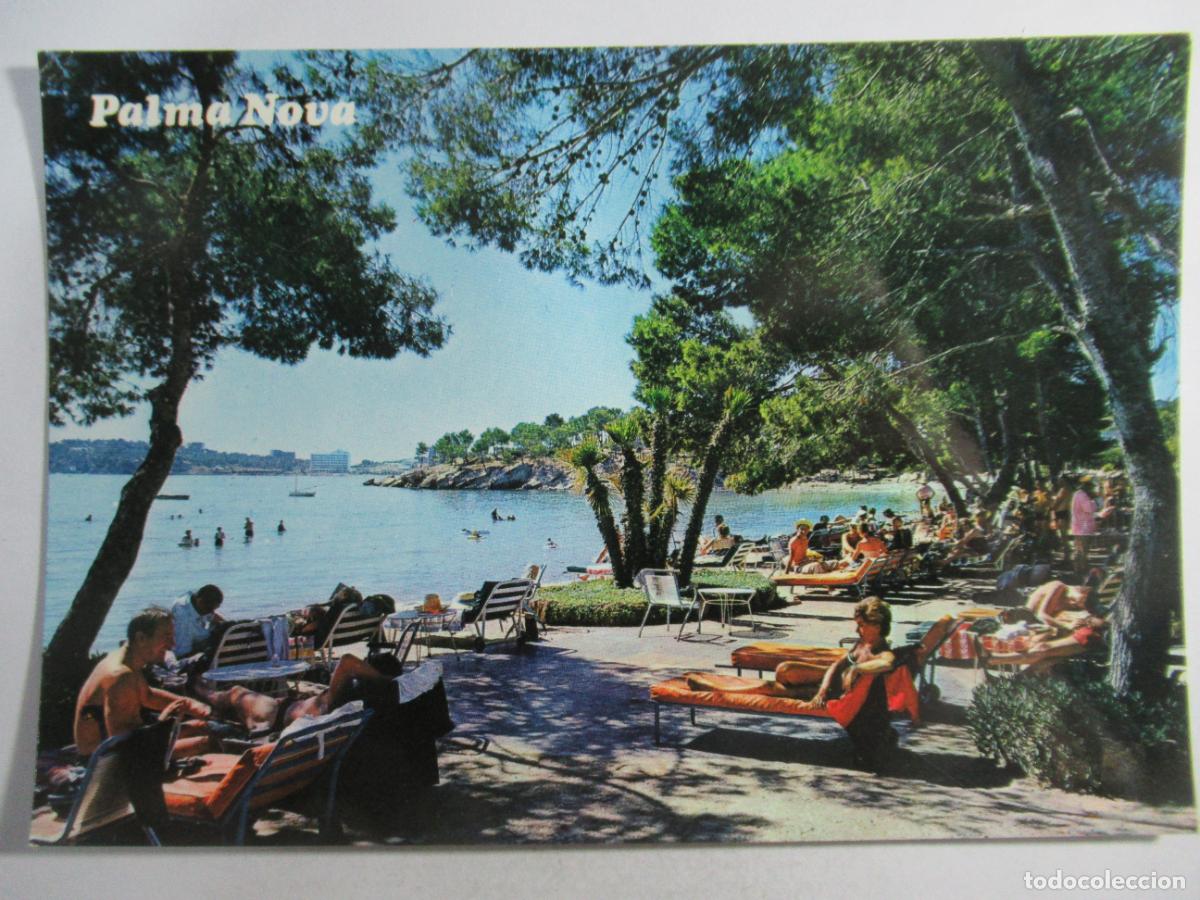 Postales: Mallorca - Palma Nova. Detalle - S/C