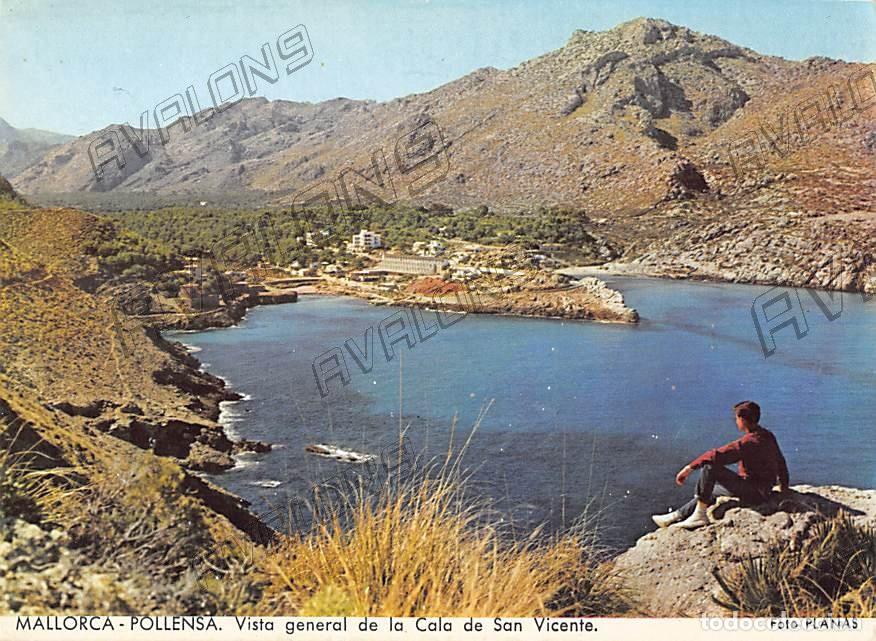 Cartes Postales: Cala San Vicente en Pollensa (Mallorca) - Postal publicitaria en el reverso, a&ntilde;os 60