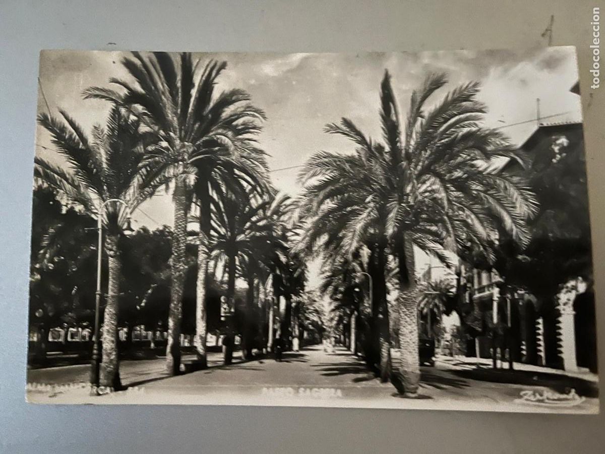 Postales: Palma ed. Zerkowitz Barcelona sin circular - Foto 1