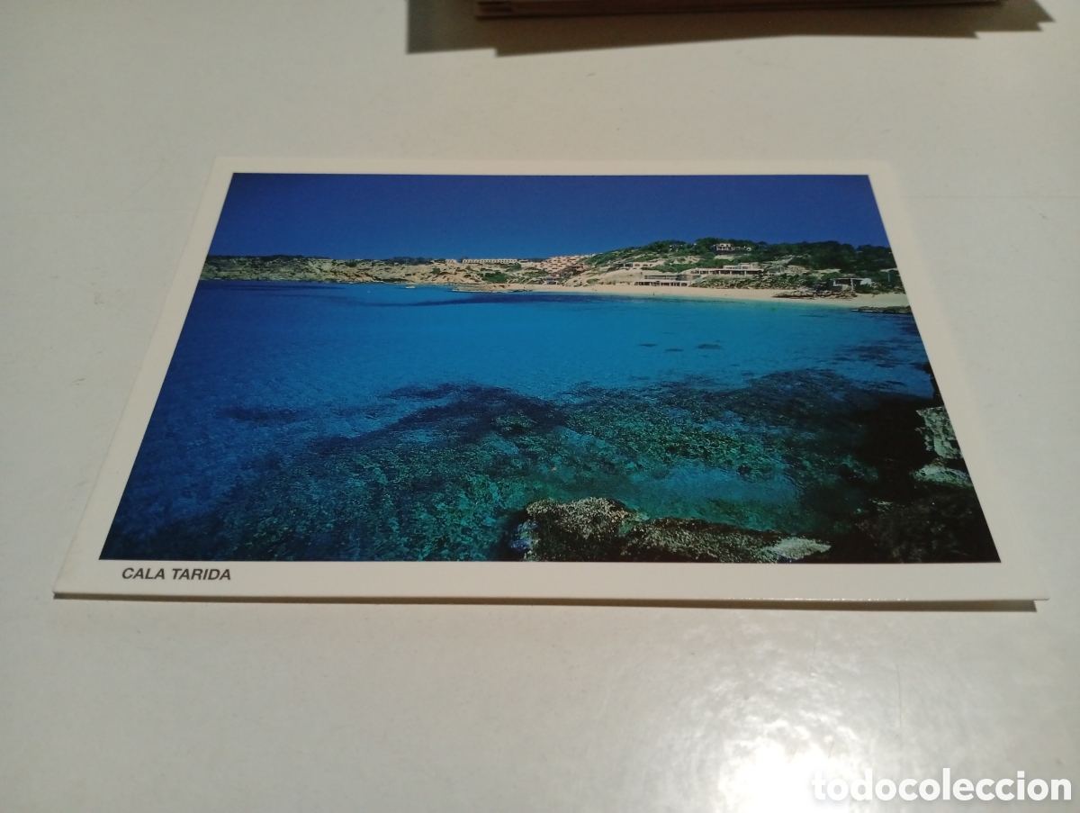 Postales: Postal Cala Tarida eivissa - Foto 1