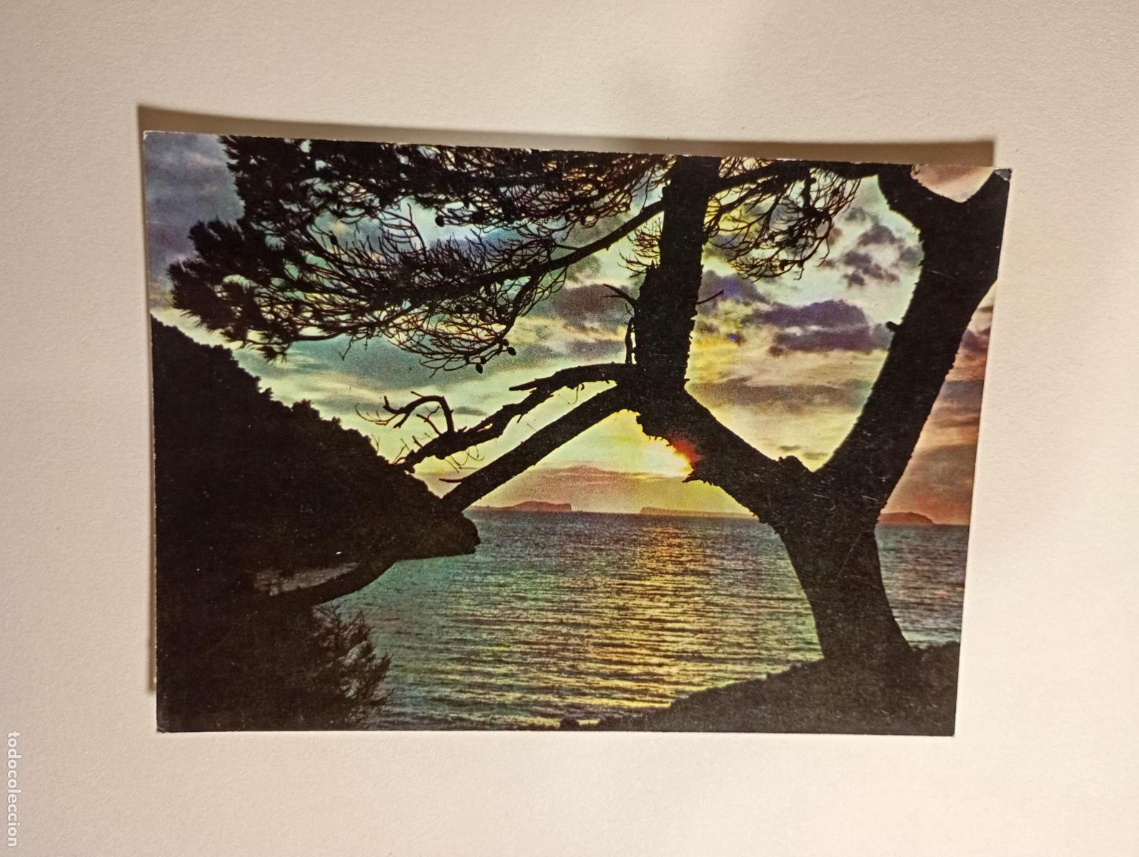 Postales: POSTAL DE PALMA DE MALLORCA. SALIDA DE SOL. TDKP26Z4