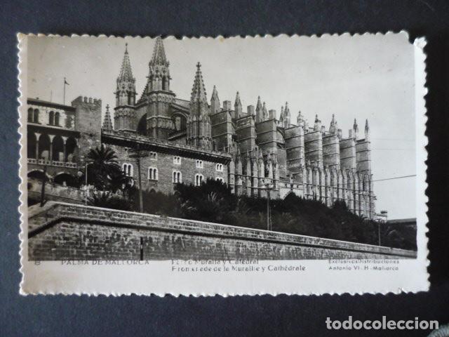 Postales: PALMA DE MALLORCA PASEO MURALLA Y CATEDRAL