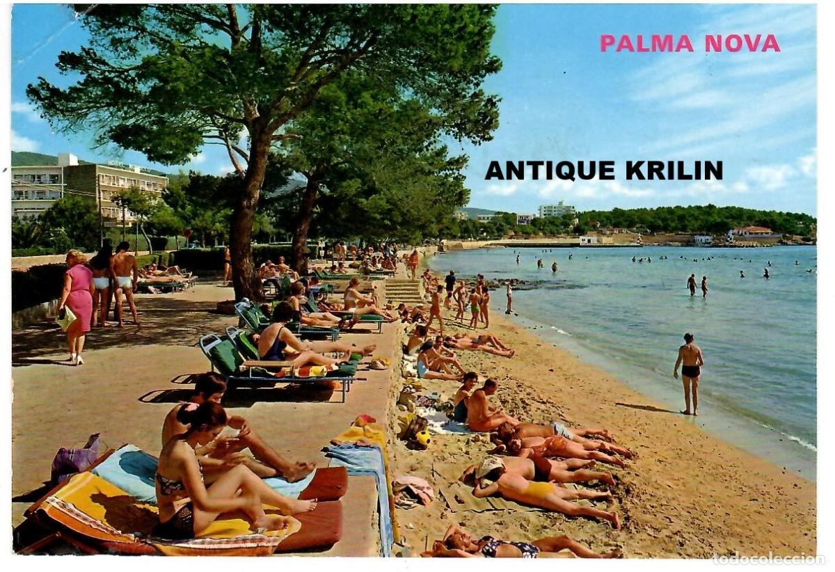 Postales: MALLORCA N&ordm; 172 PALMA NOVA , PLAYA / EDICION TOMAS DE PEDRO / FRANQUEADA