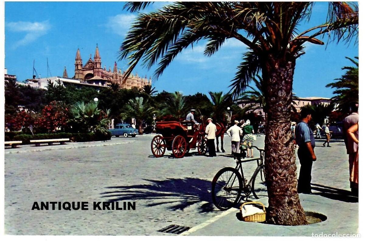 Postales: PALMA DE MALLORCA / PASEO SAGRERA Y CATEDRAL / EDICION CYP SERIE II N&ordm; 3295 / FRANQUEADA