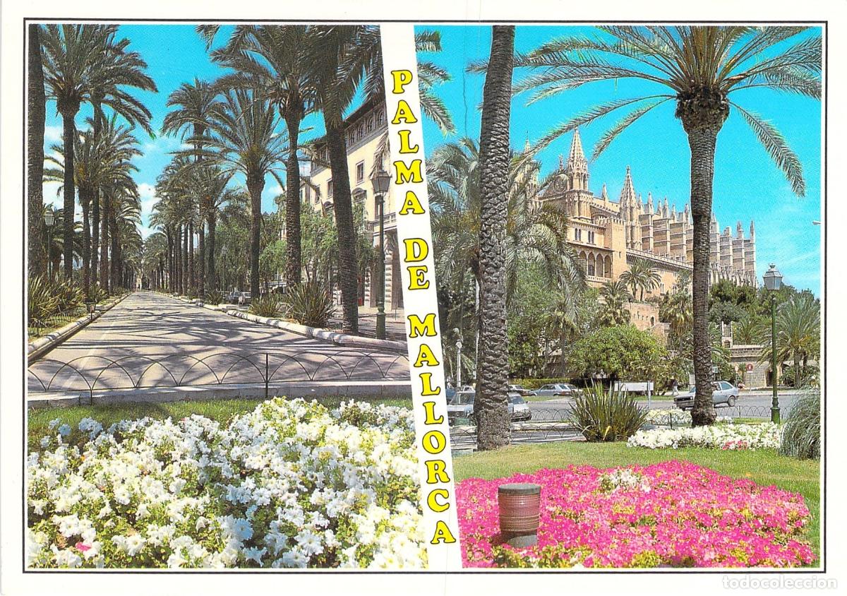 Postales: Postal de Palma de Mallorca y la Catedral de Santa Mar&iacute;a