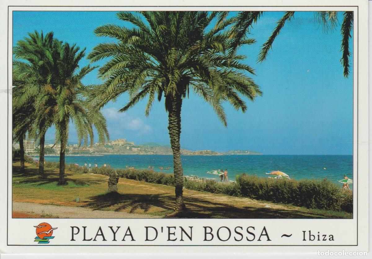 Postales: (1446) IBIZA. PLAYA D'EN BOSSA