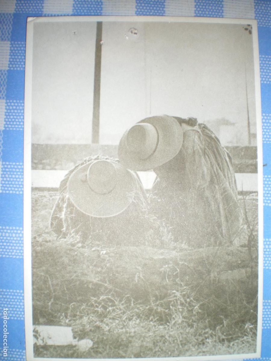 Postales: POSTAL IBIZA FORMENTERA BALEARES