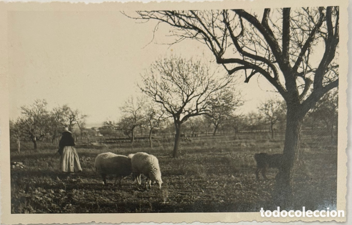 Postales: Ibiza foto postal del campo a&ntilde;o 1936
