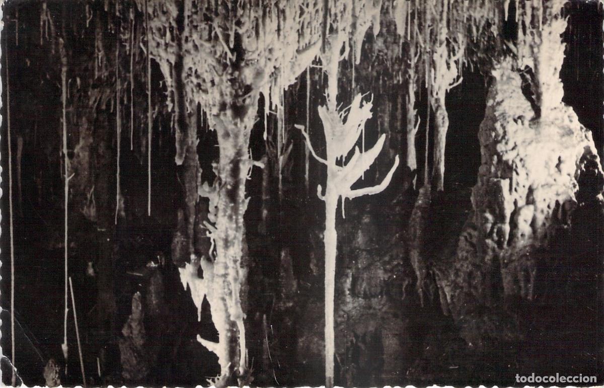 Postales: Postal de las Cuevas dels Hams, Porto Cristo, Mallorca - Sue&ntilde;o de un &Aacute;ngel