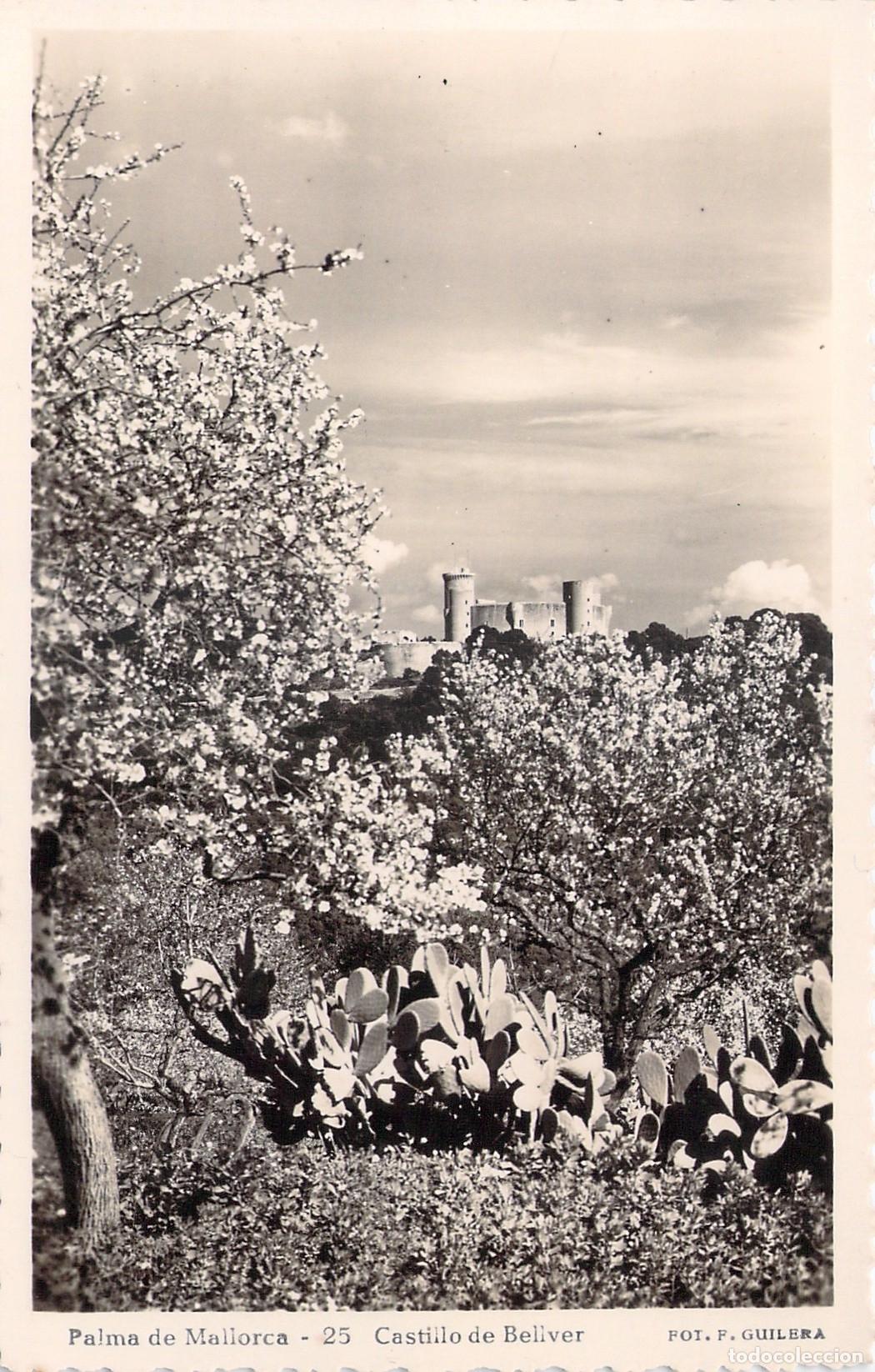 Postales: Postal de Palma de Mallorca - Castillo de Bellver y Almendros en Flor