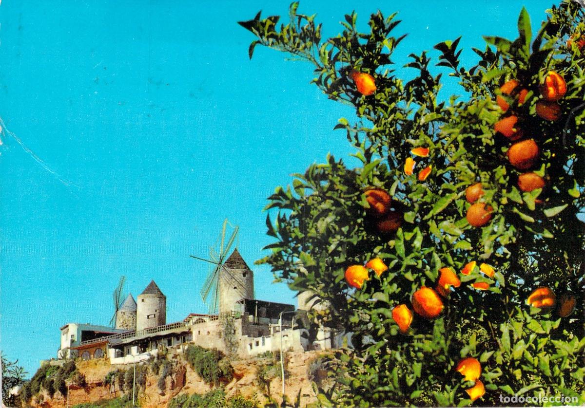 Postales: Postal de Palma de Mallorca Molinos del Jonquet y Naranjo