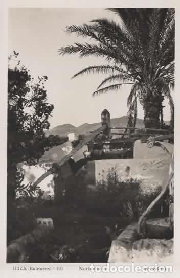 Postales: BALEARES SIN ESCRIBIR IBIZA NORIA TIPICA