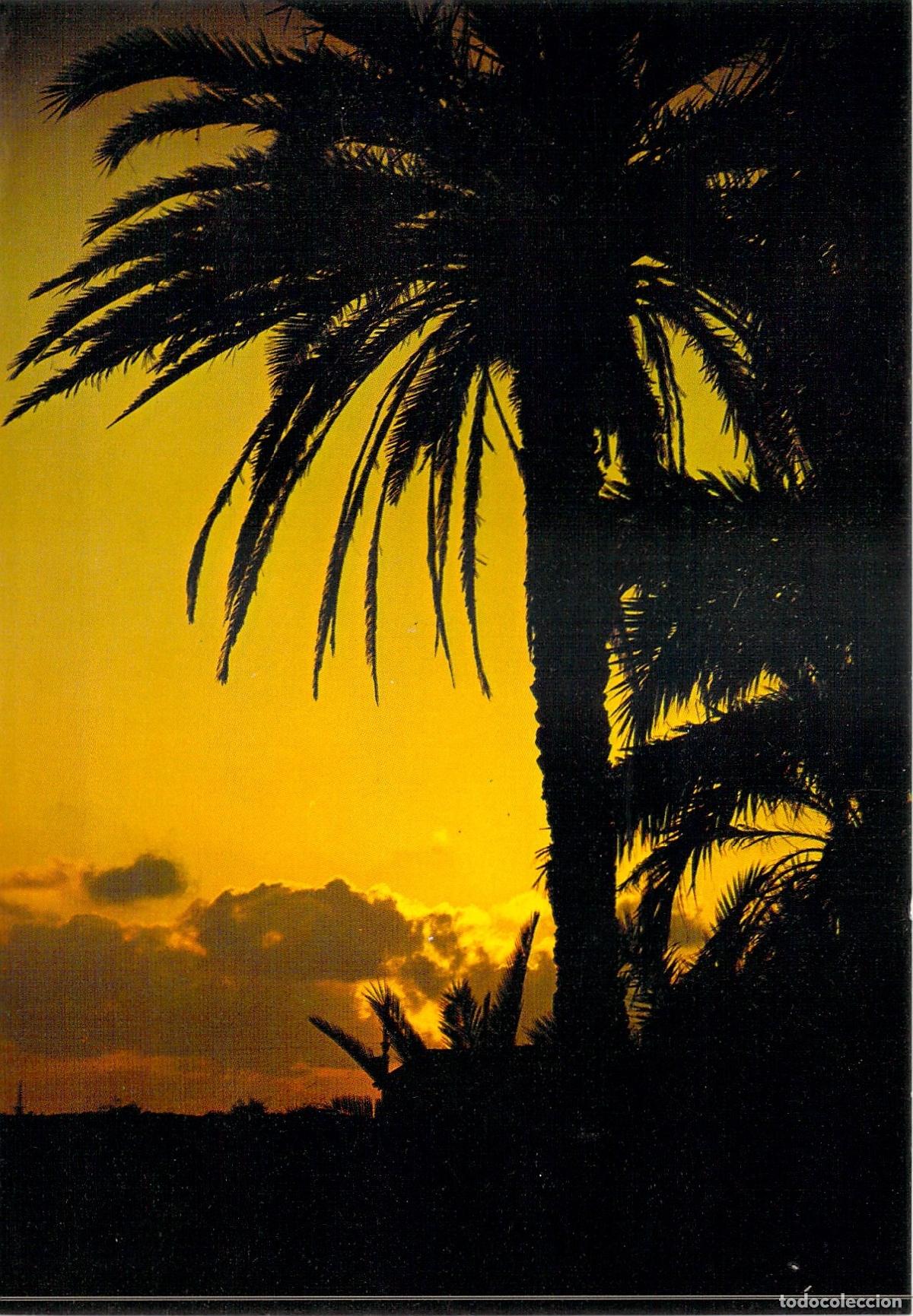 Postales: Postal de Puesta de Sol en Sa Sequi, Formentera