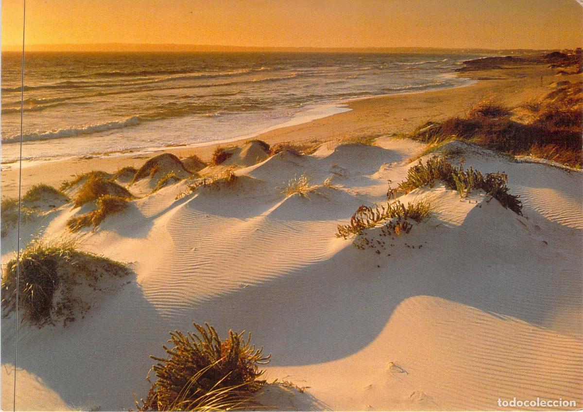 Postales: Postal Playa de Migjorn Formentera Islas Baleares Paisaje de Dunas
