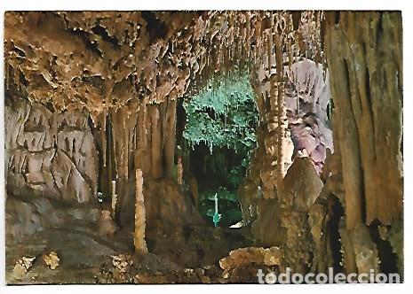 Postales: JARDIN DEL SURTIDOR, CUEVAS DELS HAMS.- PORTO CRISTO / MALLORCA