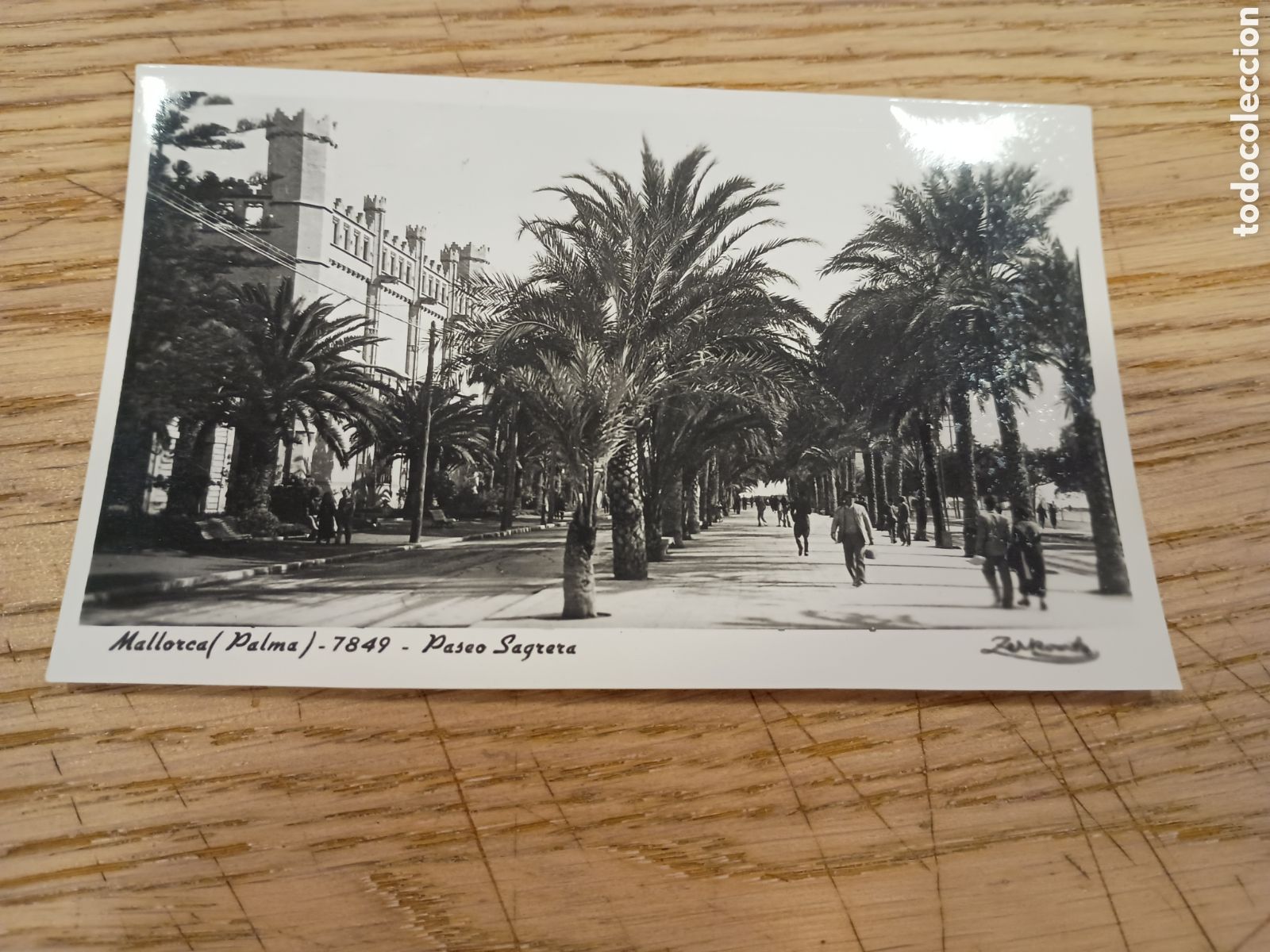 Postales: PALMA DE MALLORCA (BALEARES) - PASEO SAGRERA - TALLERES A. ZERKOWITZ - DISTRIBUIDOR V. ROTGER