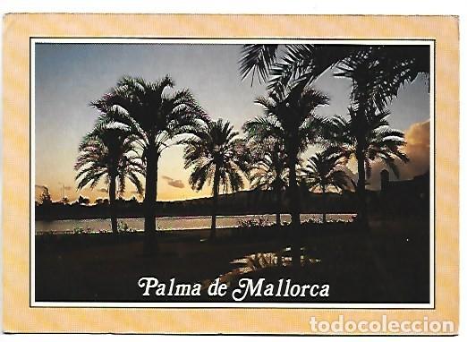 Postales: PALMA DE MALLORCA - BALEARES - Foto 1