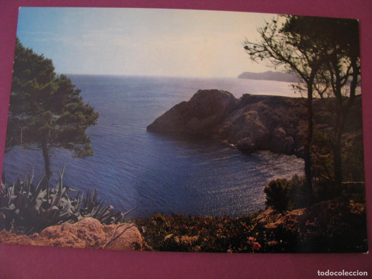 Postales: POSTAL DE MALLORCA. CALA RATJADA. DETALLE DE UNA DE SUS CALETAS. CASA PLANAS. 1965